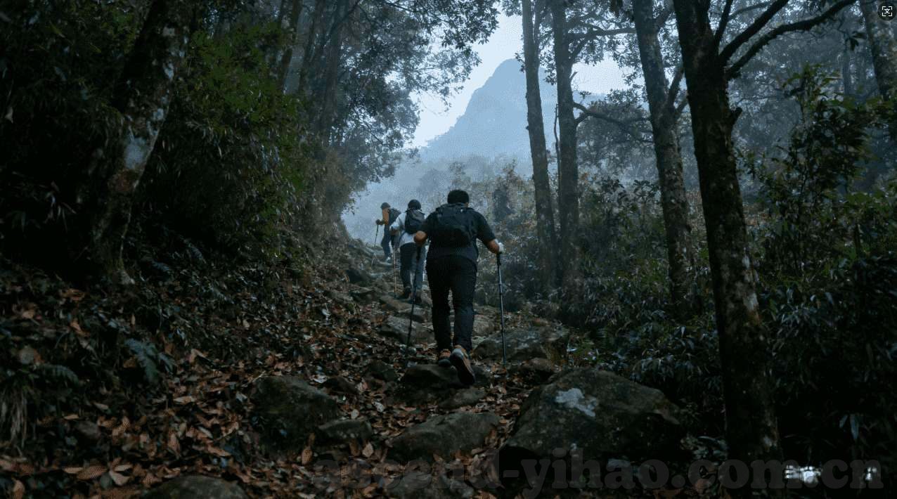 投骰子游戏规则大全-投骰子游戏规则大全，多样玩法与乐趣探索